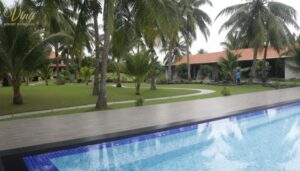 dịch vụ dưỡng lão cao cấp