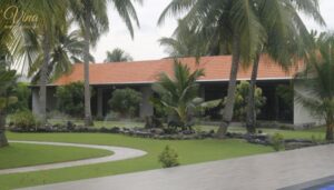 dịch vụ dưỡng lão cao cấp